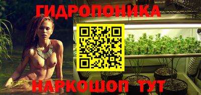 стафф Кинель