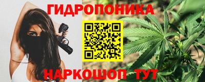 ПСИЛОЦИБИНОВЫЕ ГРИБЫ Кингисепп