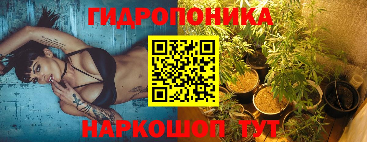 Канабис OG Kush  Бошки Шишки гибрид  Вход с VPN  Тихвин 